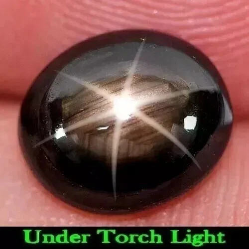Black Star Sapphire 6 Rays 9.00 Ct+ Oval Cabochon Natural Loose Gemstone