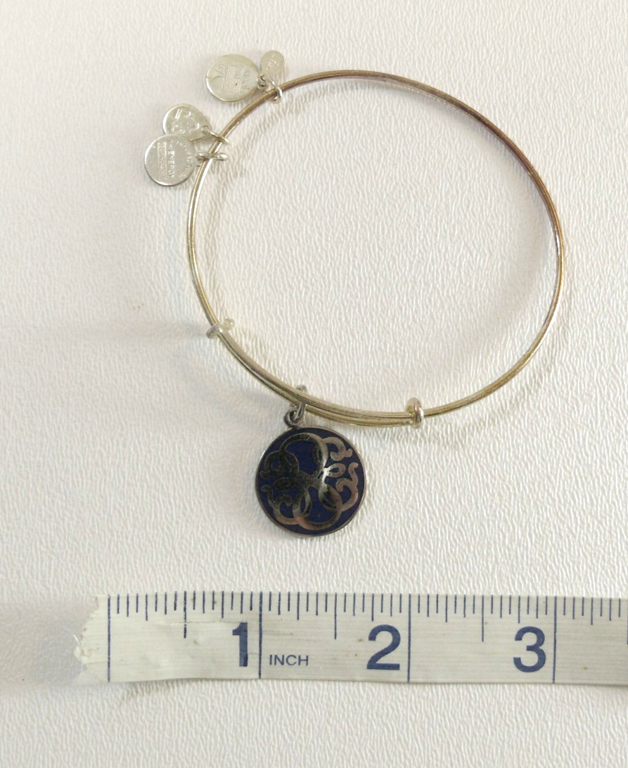 BRACELET & necklace LOT: Alex and Ani 1928 Adore kitchen charms colored stones