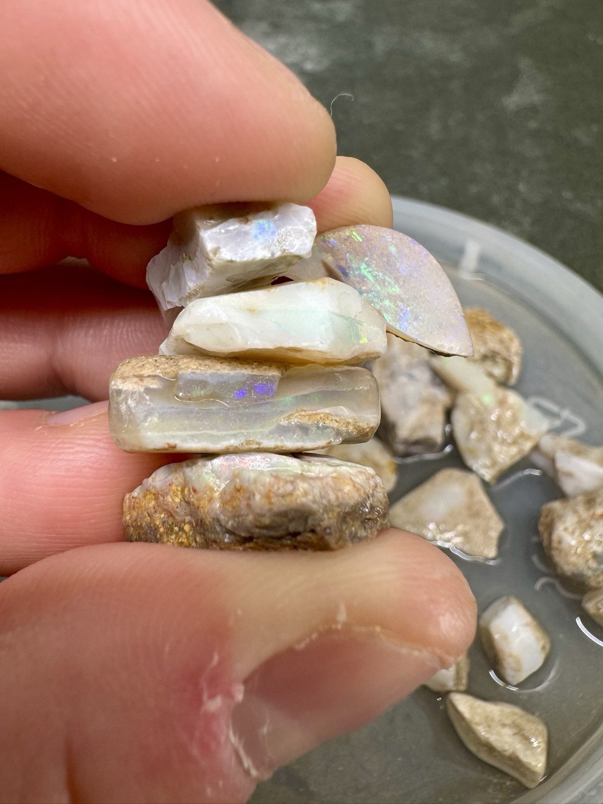 156ct Mintabie Australian Opal Rough Parcel 22pcs Multicolor Old Stock 1oz White