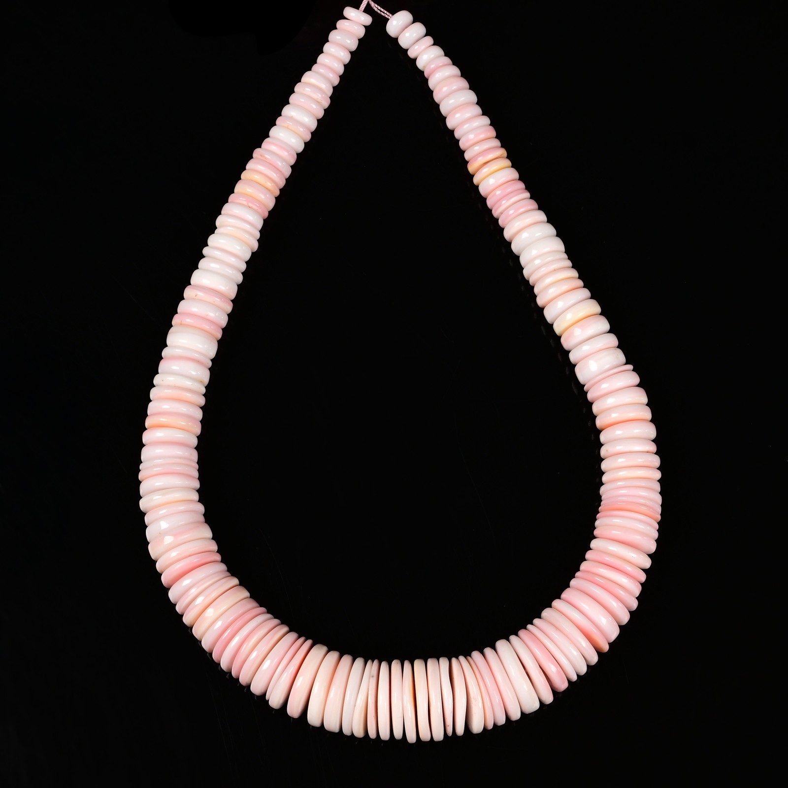 Pink Queen Conch Shell Graduated Rondelle Disc Beads Size 8mm to 20mm 15.5″ Strd