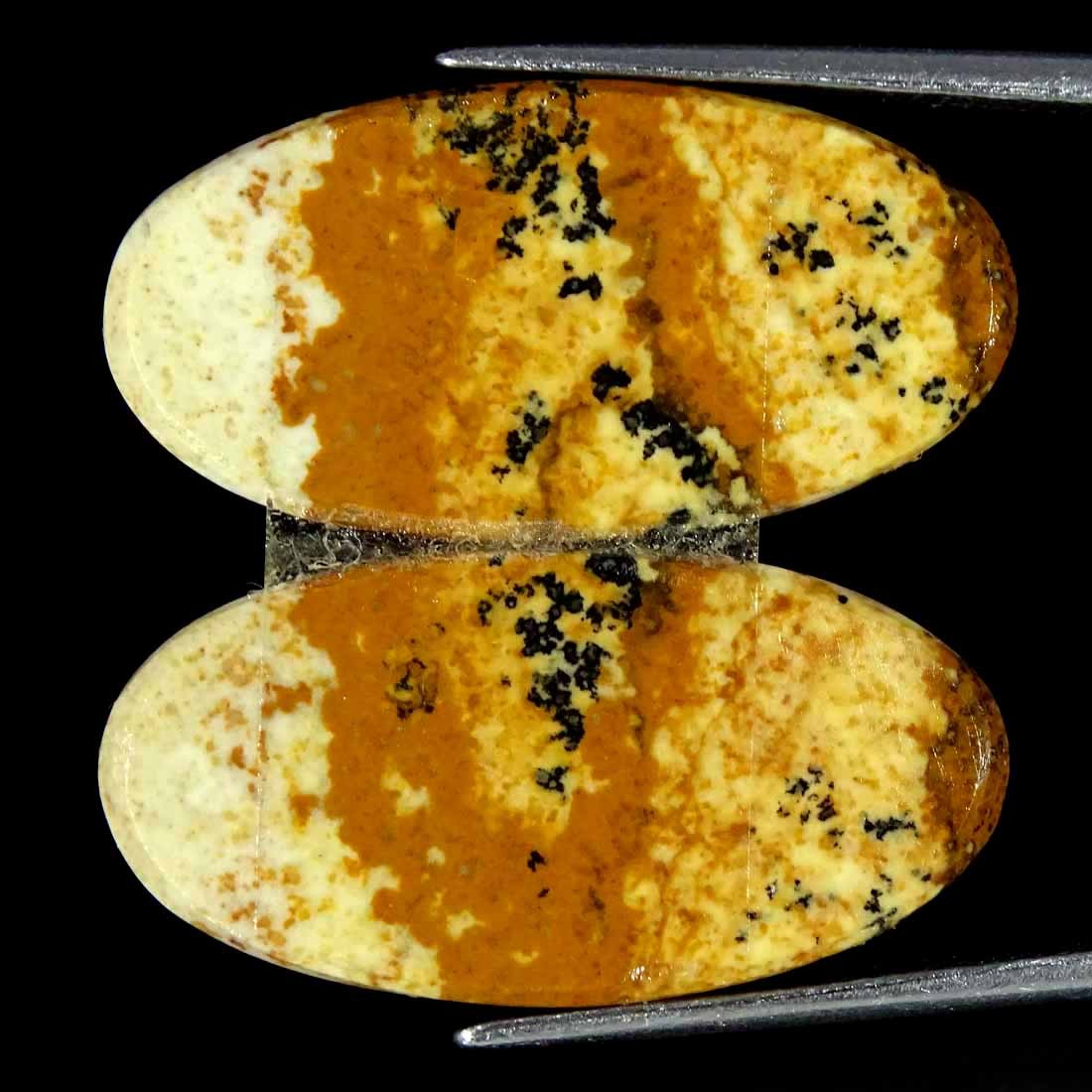 17.90Cts Natural Picture Jasper Cabochon Loose Gemstone Pair 12x25x3mm Oval