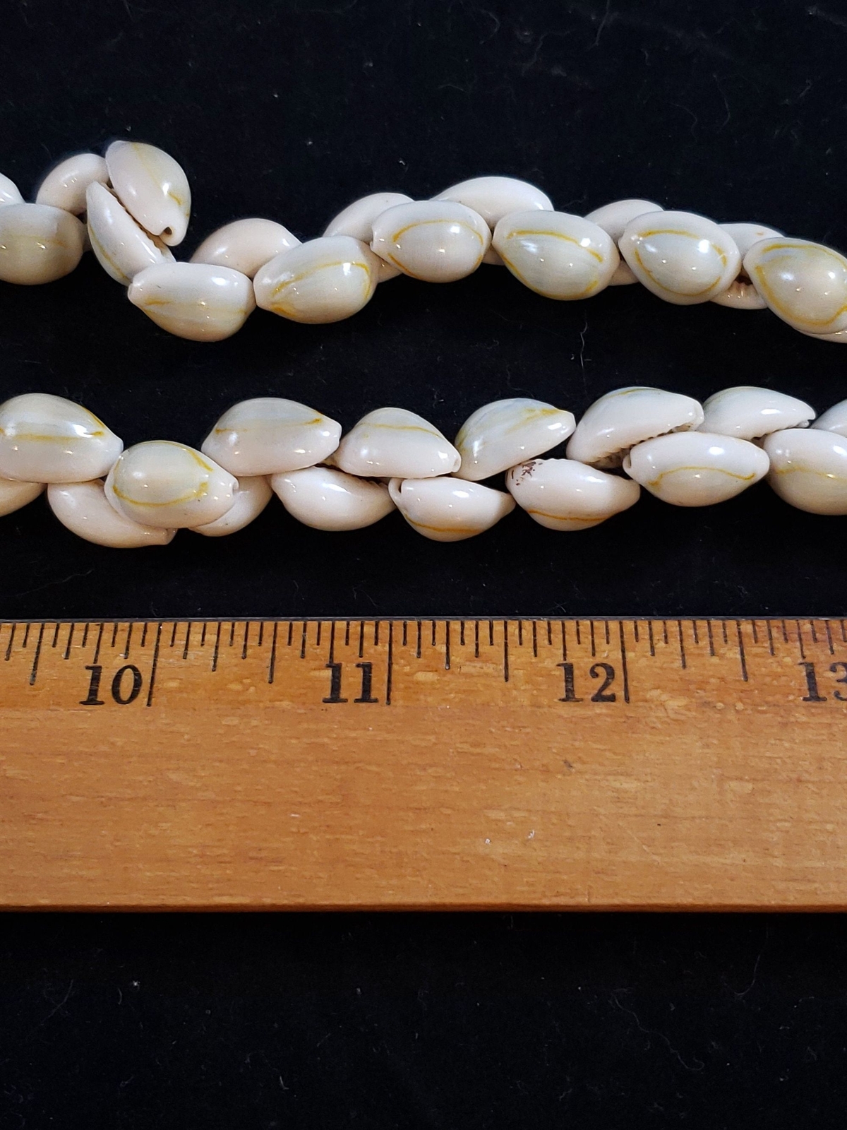 Vintage Unsigned Cowry/Cowrie Shell 17″ Long Strand Chunky Statement Necklace