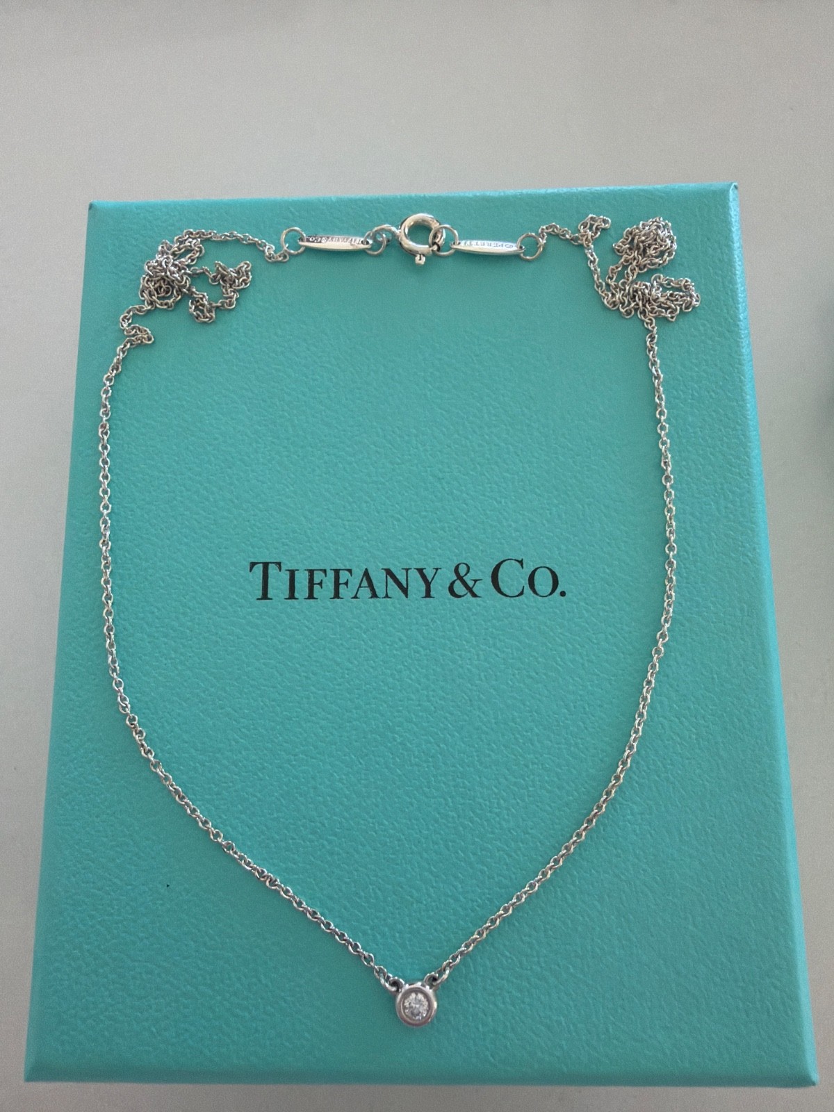Tiffany & Co Elsa Peretti Diamond by the Yard Necklace .03 Sterling Silver