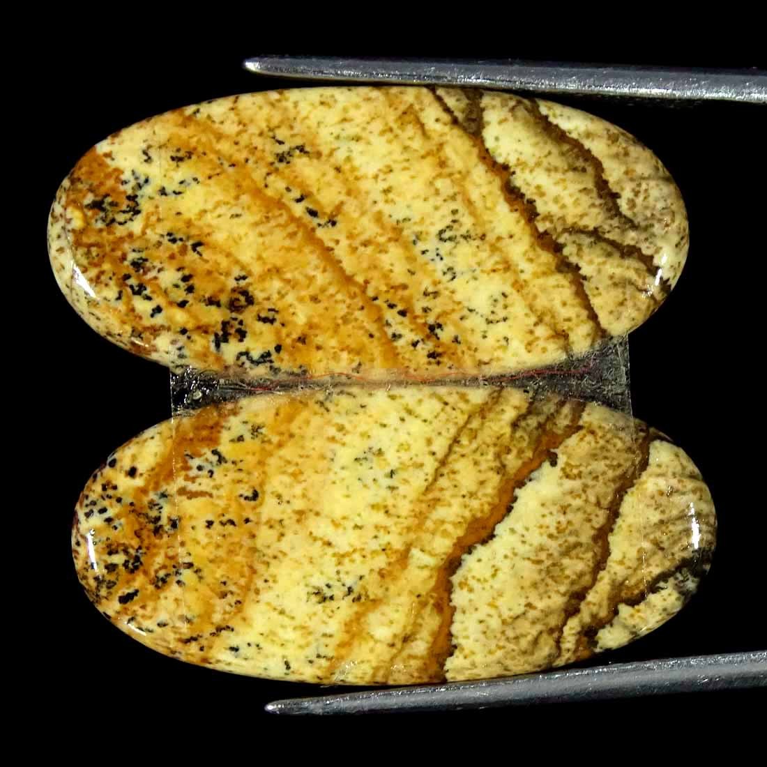 17.40Cts Natural Picture Jasper Cabochon Loose Gemstone Pair 12x26x3mm Oval