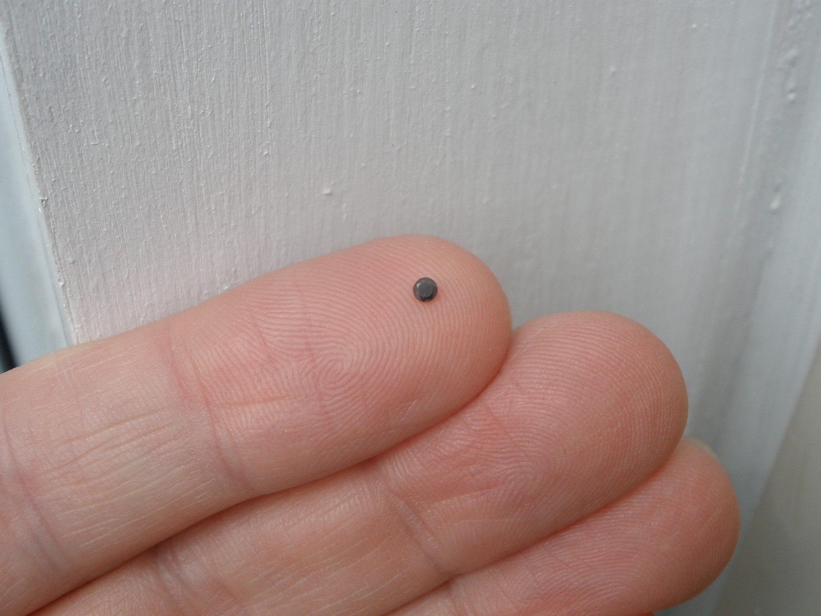 Natural Black diamond loose faceted round 1.5mm