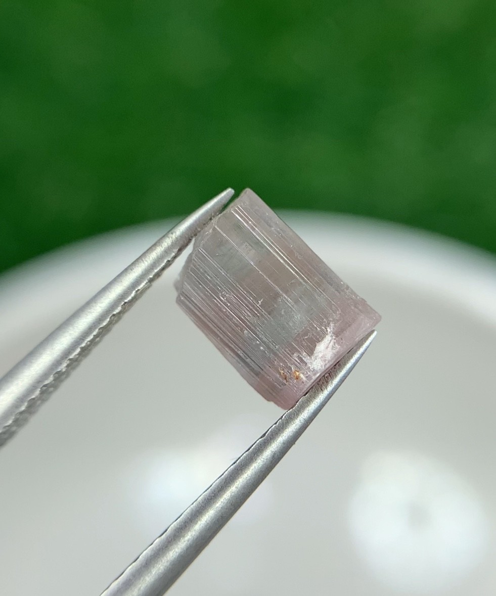 55.8 Ct Natural Afghanistan Multi Color Tourmaline Rough Crystal Gemstone Lot