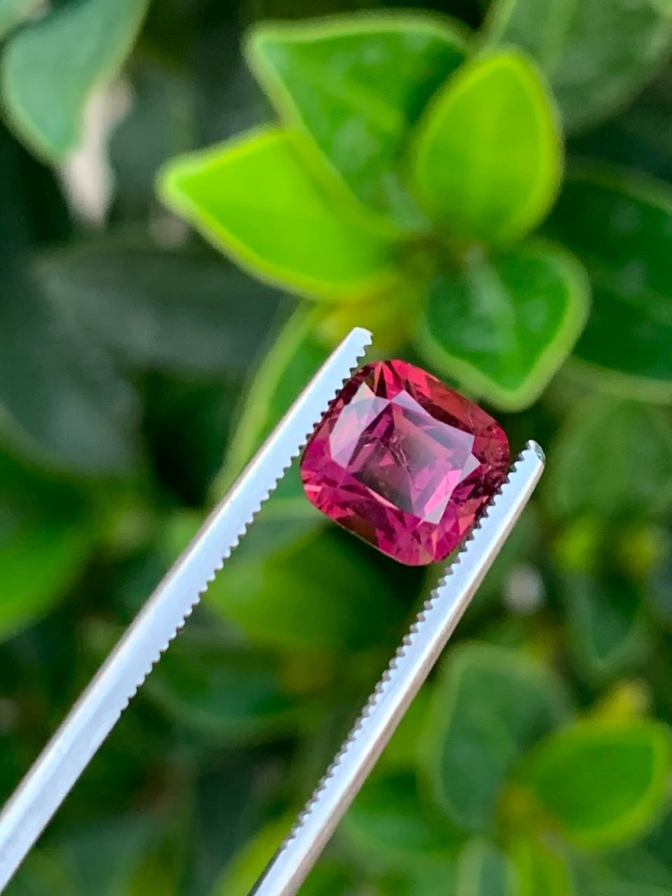 Natural Afghan Tourmaline 2.20 Ct Unheated Untreated Gemstone 7x6mm