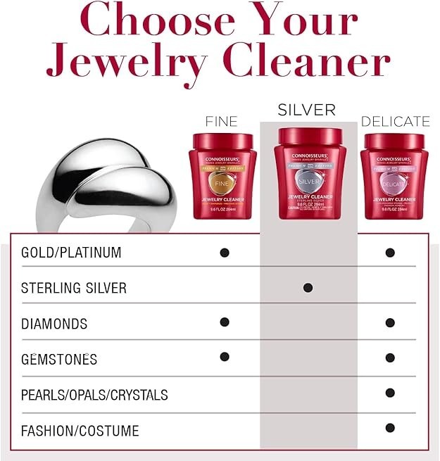 CONNOISSEURS Premium Silver Jewelry Cleaner 9.6oz Value Size Tarnish Remover