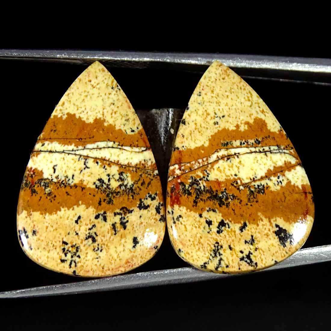 21.50Cts Natural Picture Jasper Cabochon Loose Gemstone Pair 15x23x4mm Pear