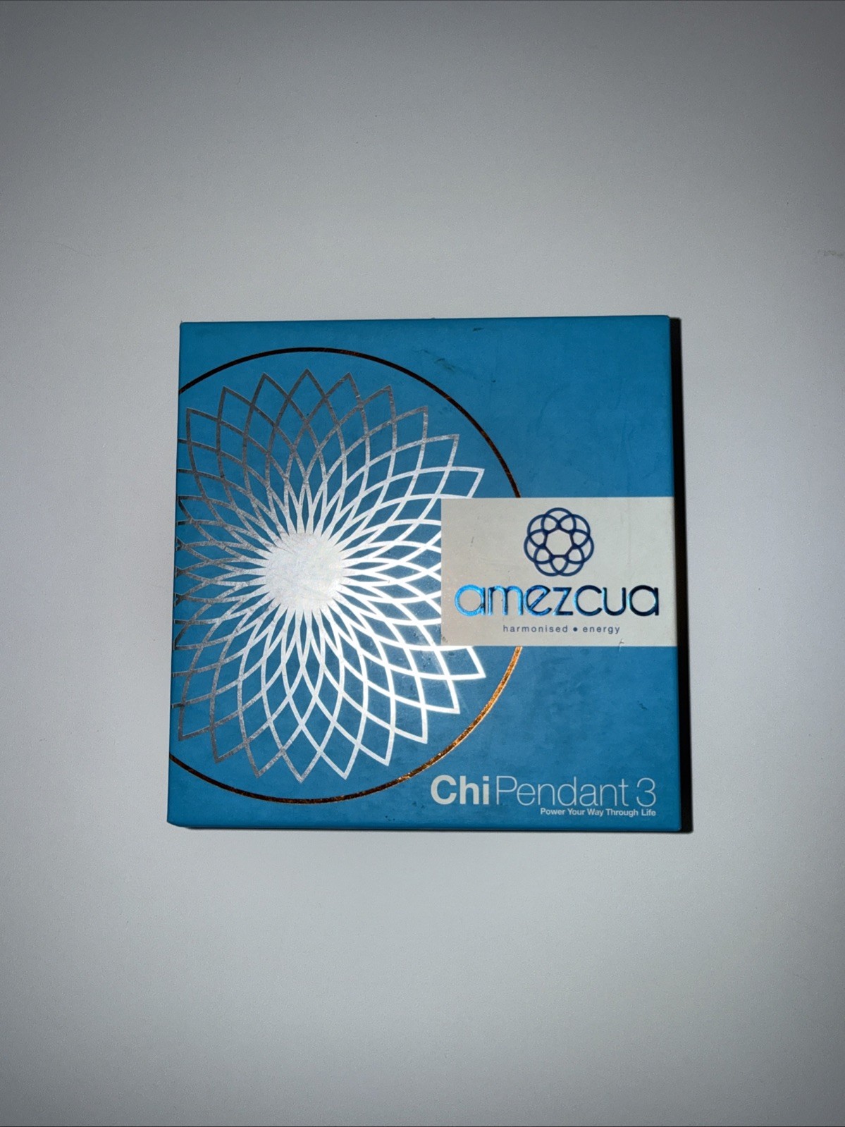 Amezcua Chip Pendent 3