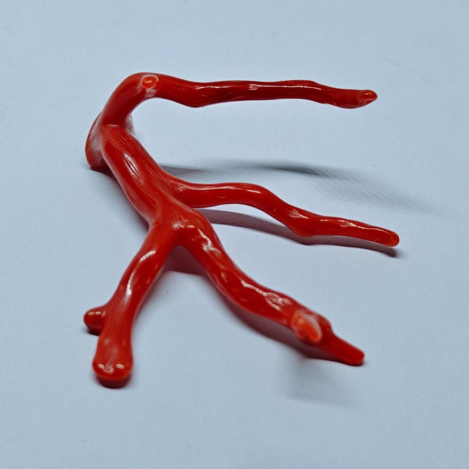 Italy Red Coral Polished Branch Loose Natural Gemstone Rough Mediterranean 18 Ct