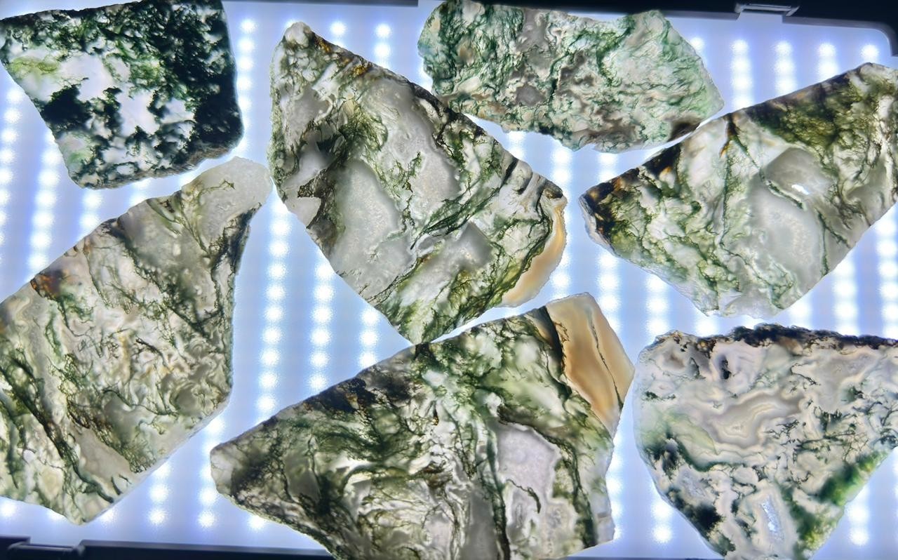 Top Quality Natural Moss Agate Slices: Wholesale Bulk Slabs (2.5-4 Inch)