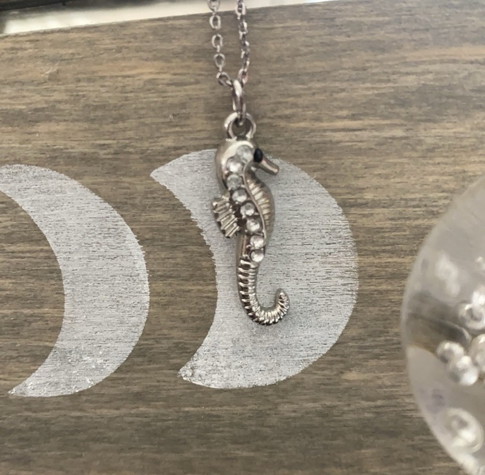 Silver Alloy Dainty Seahorse Rhinestone Chain Necklace Lobster Claw Closure