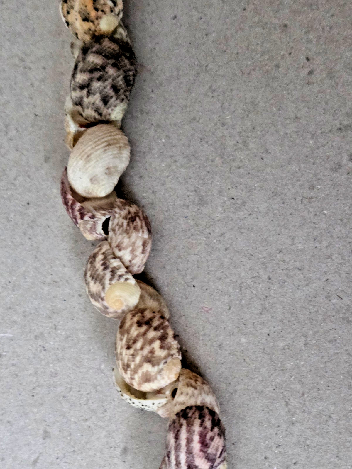 Unbranded – Handmade Natural Seashell Necklace – Snail Shells – 17 inches long