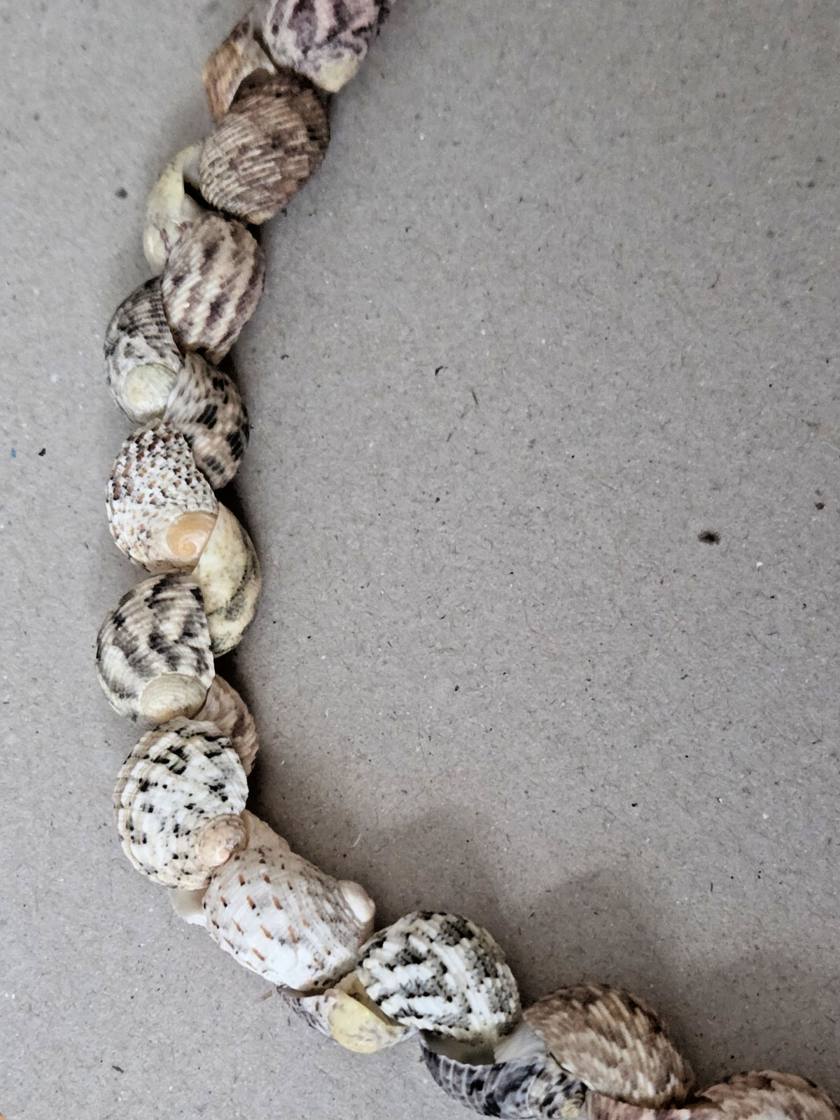 Unbranded – Handmade Natural Seashell Necklace – Snail Shells – 17 inches long