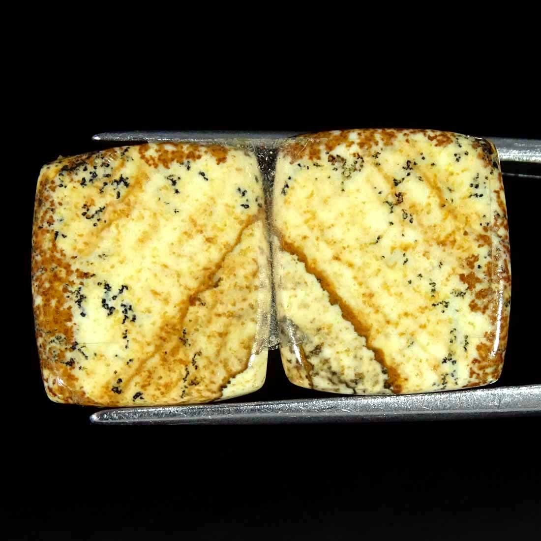 14.40Cts Natural Picture Jasper Cabochon Loose Gemstone Pair 15x16x3mm Cushion
