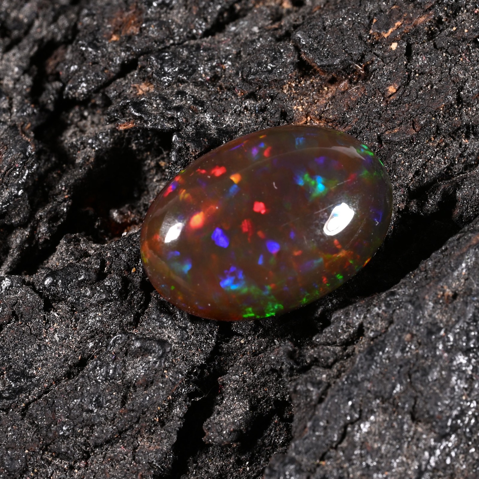 5.60 Ct Natural Ethiopian Multi Fire Black Opal Cabs Loose Gemstone 15x11x6 MM
