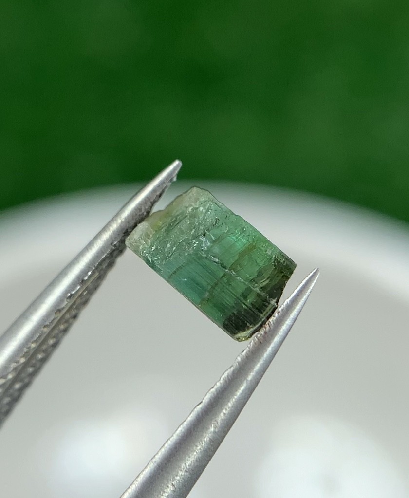 55.8 Ct Natural Afghanistan Multi Color Tourmaline Rough Crystal Gemstone Lot