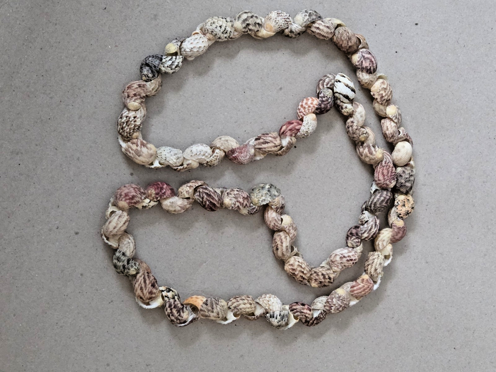 Unbranded – Handmade Natural Seashell Necklace – Snail Shells – 17 inches long