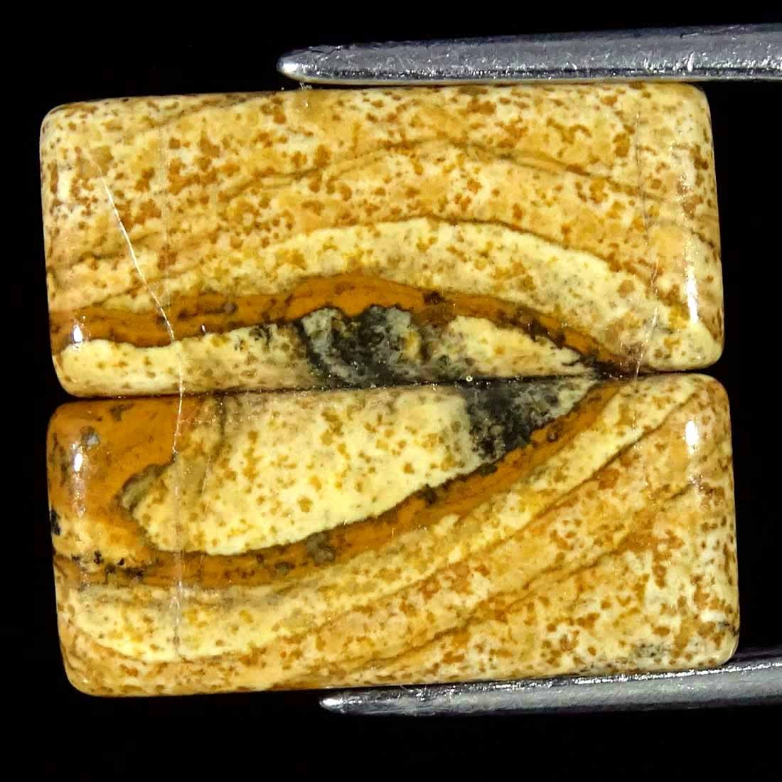 6.20Cts Natural Picture Jasper Cabochon Loose Gemstone Pair 07x16x2mm Cushion