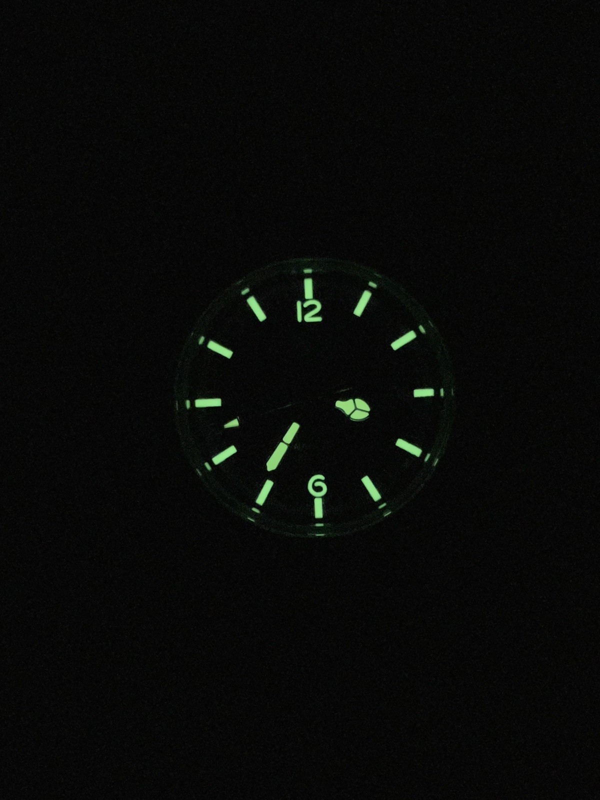 Addiesdive 39mm Automatic Watch Diver’s 100M NH35 (AD2038) Pre-Owned USA SELLER