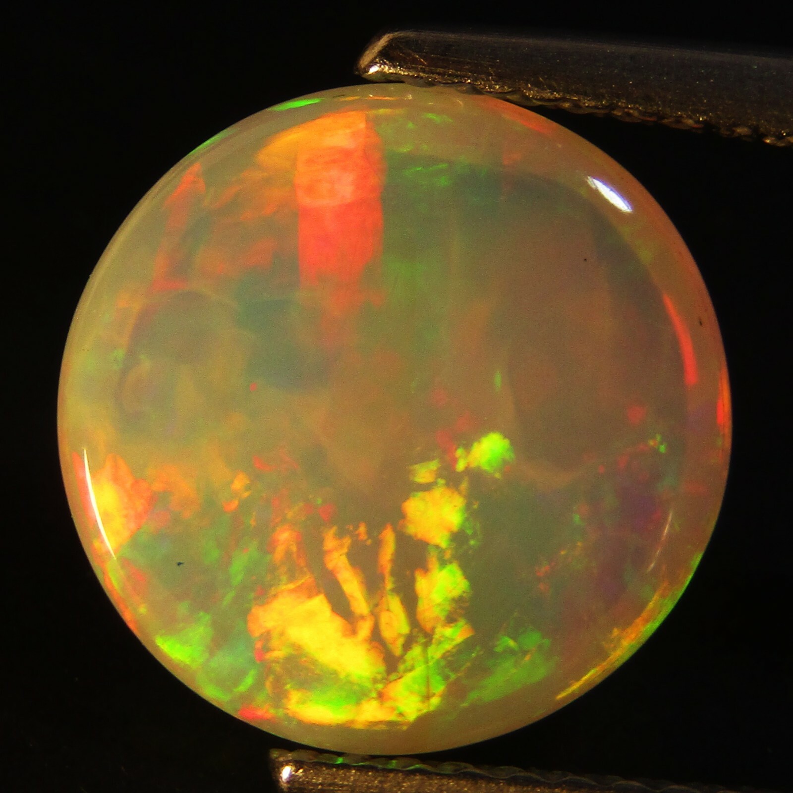 3.07Cts Natural Earth Mined Color Play Ethiopian Opal Oval Cabochon Gem Ref VDO