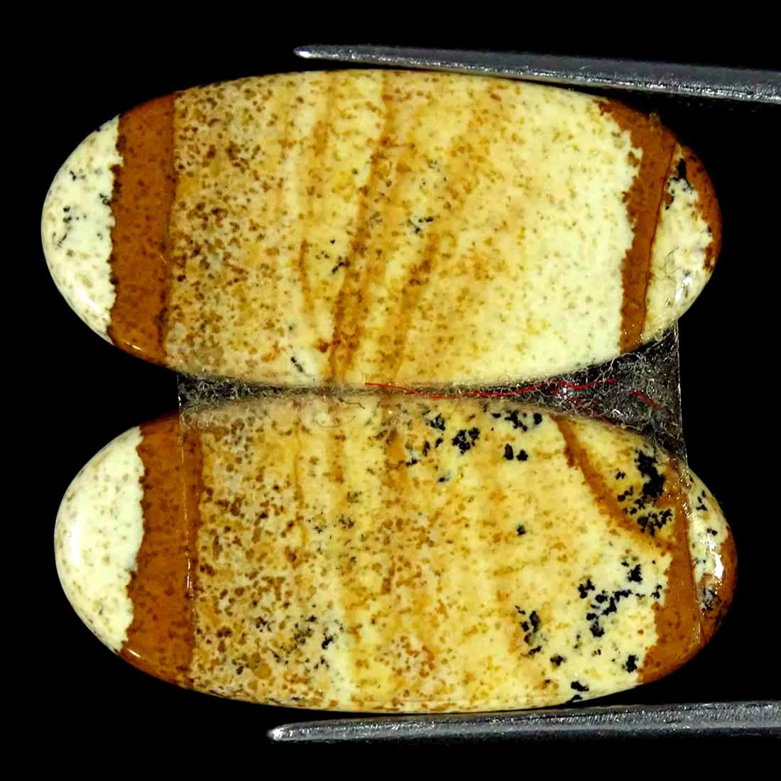 14.40Cts Natural Picture Jasper Cabochon Loose Gemstone Pair 12x25x3mm Oval