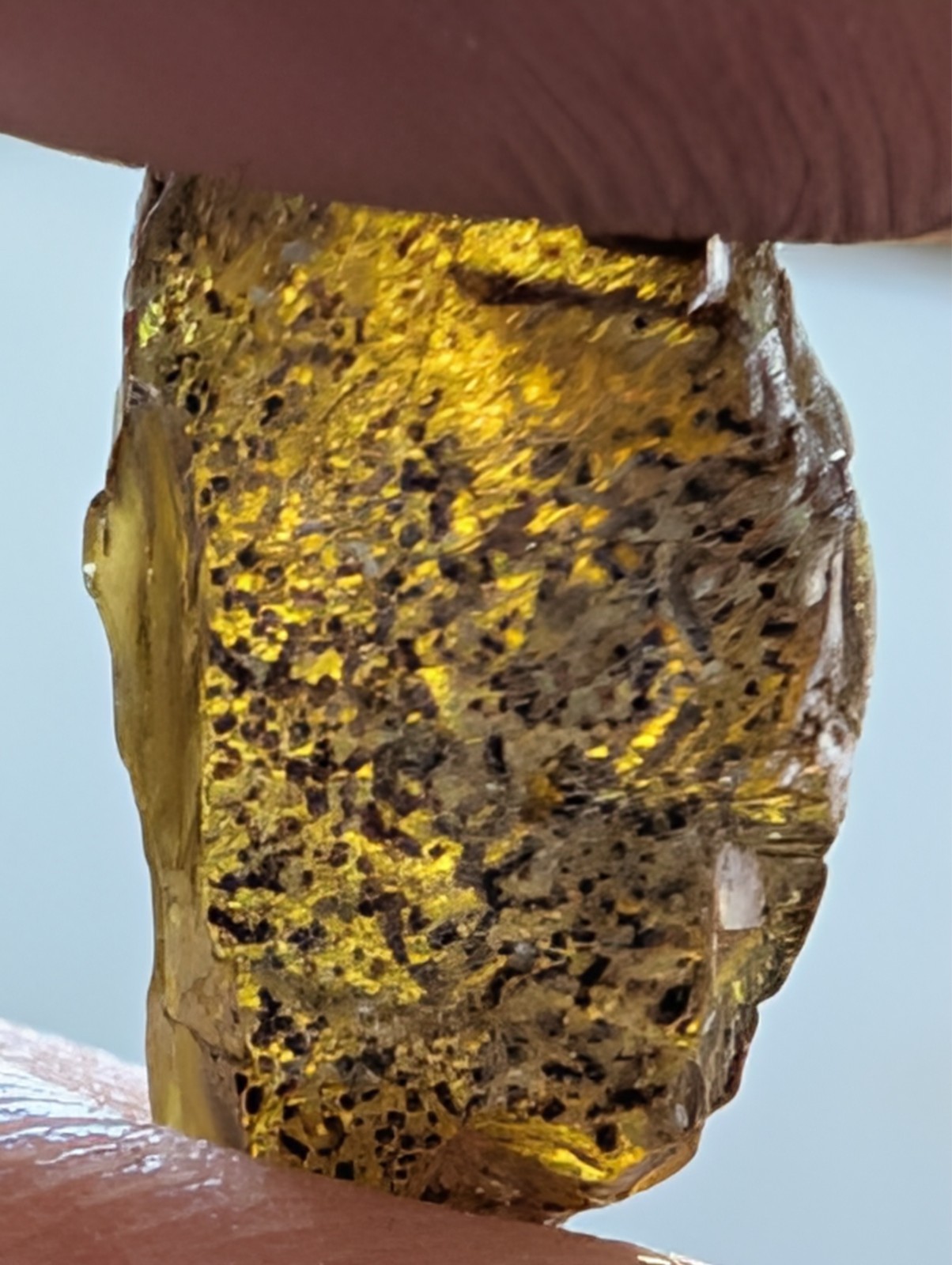 USA seller 8.02 ct Cut to IF Sphene facet rough gemstone specimen