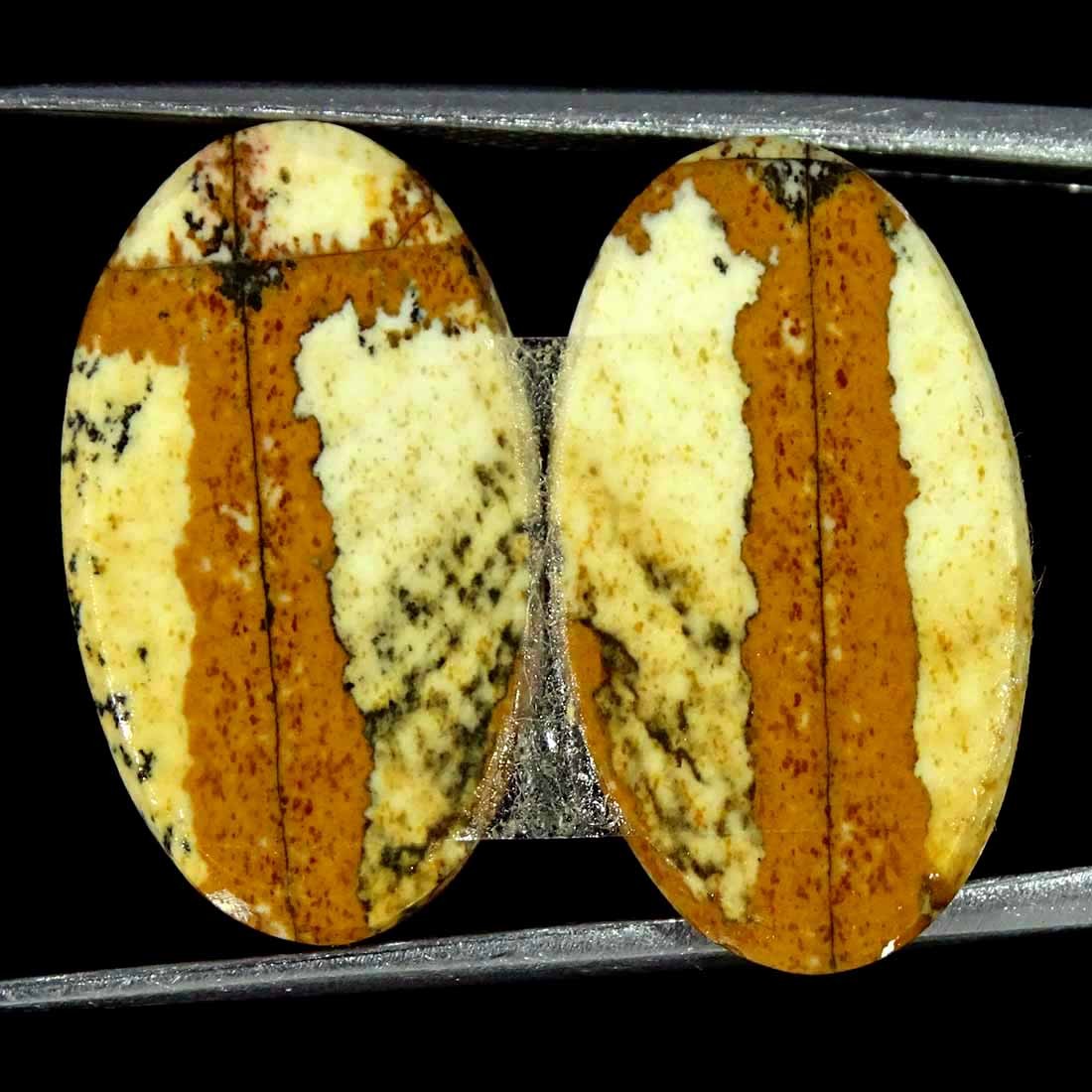 18.40Cts Natural Picture Jasper Cabochon Loose Gemstone Pair 13x22x4mm Oval