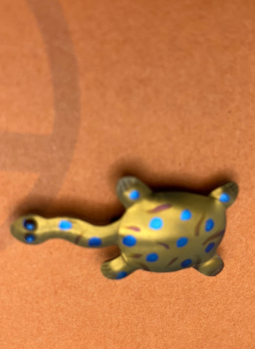 Handcrafted Coated Titanium Turtle Shaped Pin Australia 1.5 X .5 Inches