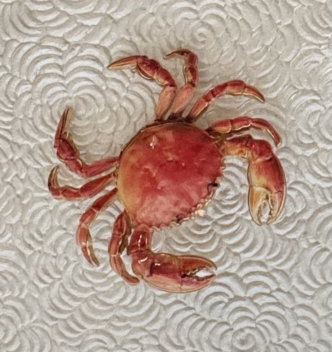 Crab brooch pin Enamel On Metal