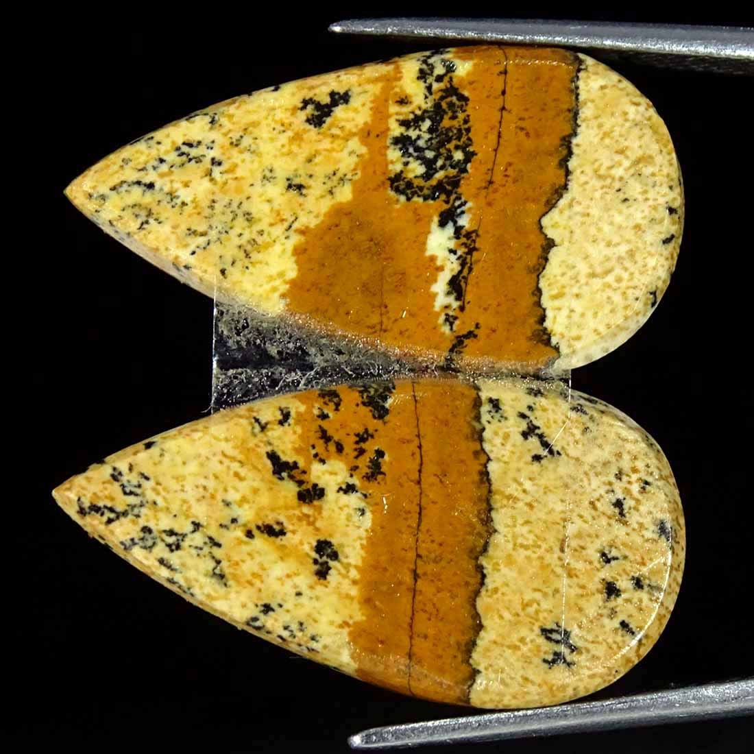 15.50Cts Natural Picture Jasper Cabochon Loose Gemstone Pair 12x23x3mm Pear