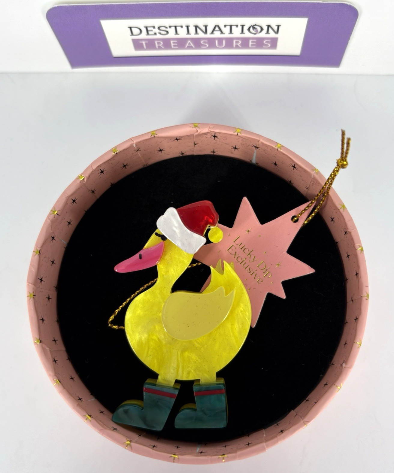 Erstwilder Merry Quack-mas Brooch Lucky Dip 2024 FLAWED PLS READ IN FULL