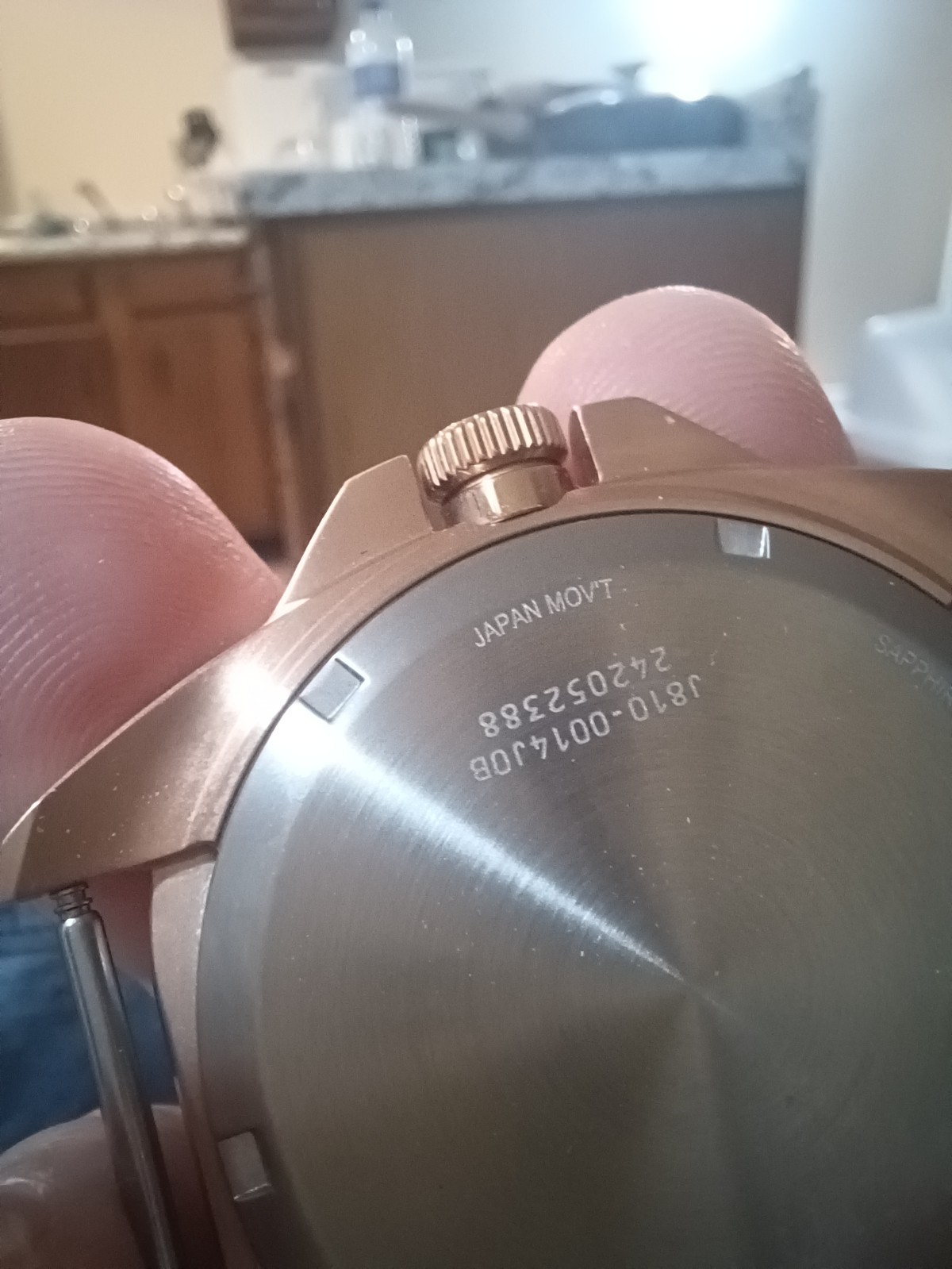 Citizen Endicott used