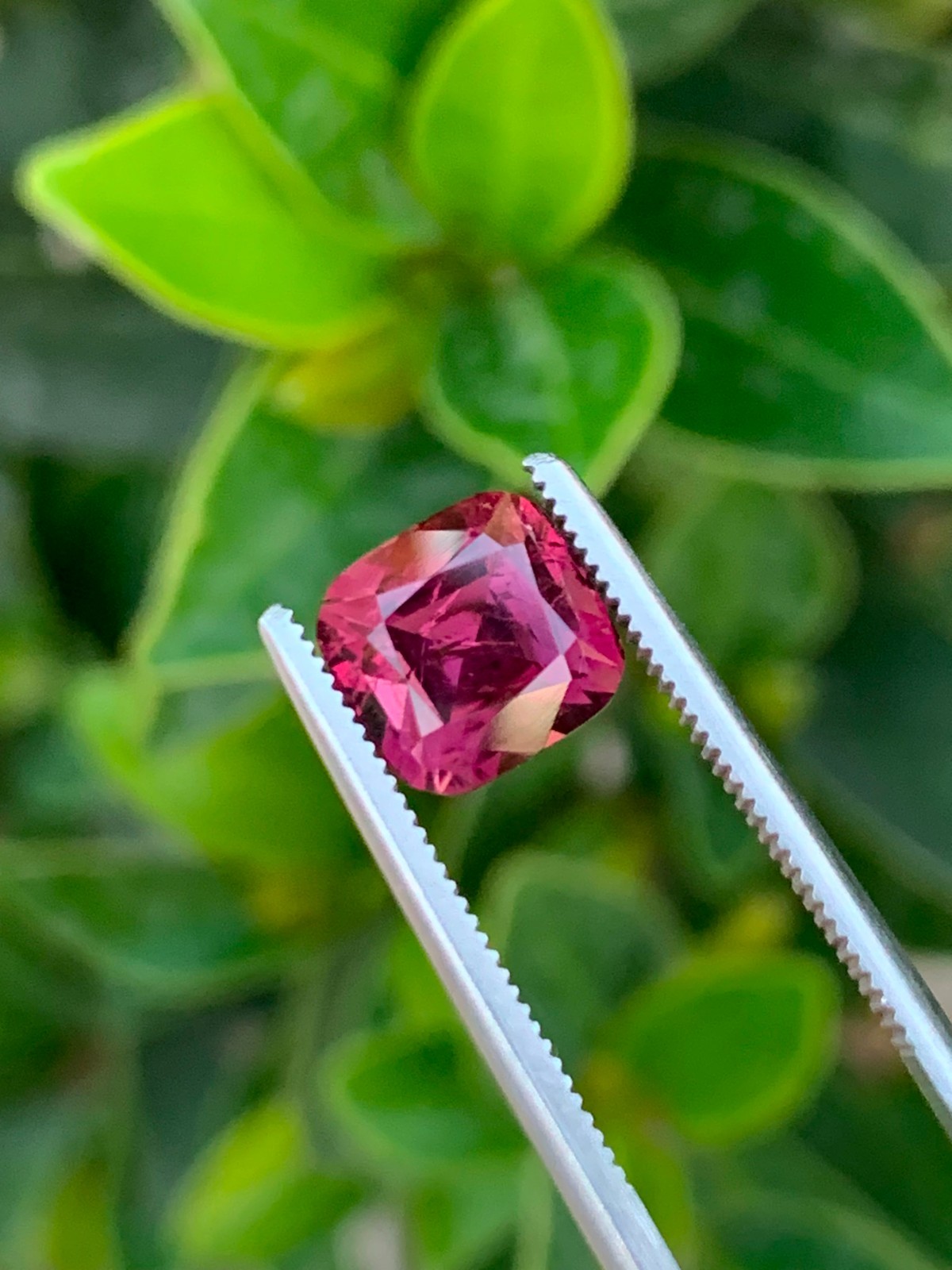 Natural Afghan Tourmaline 2.20 Ct Unheated Untreated Gemstone 7x6mm