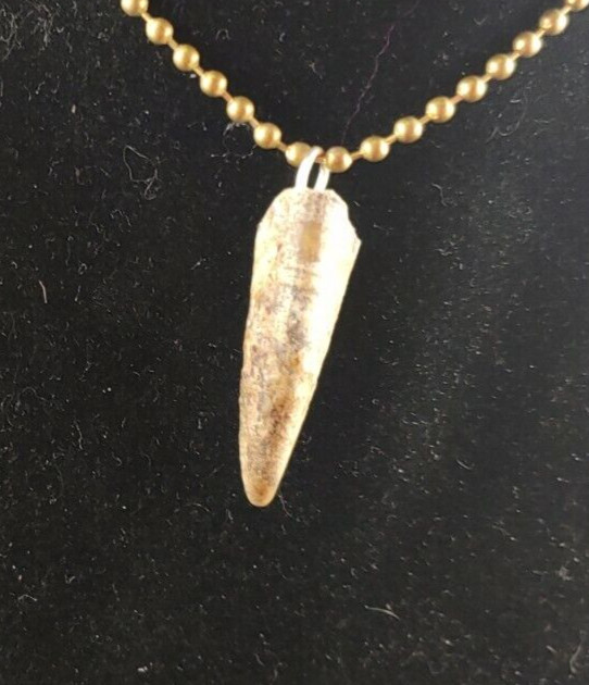 Alligator jewelry necklace 1″ to 2″ nails real gator toe necklace weird