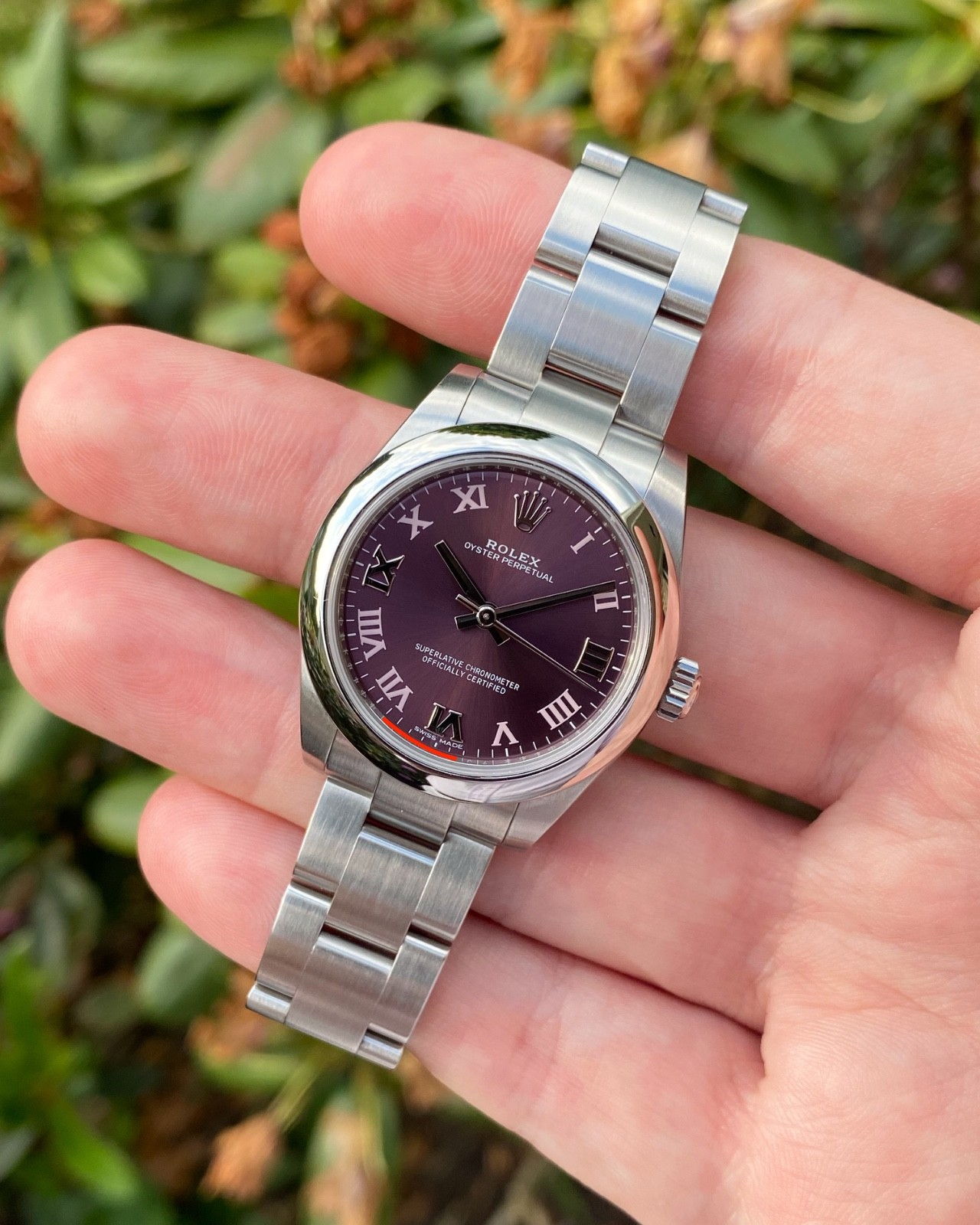 2017 Rolex 177200 Oyster Perpetual 31mm Purple Roman Grape Dial Box and Papers