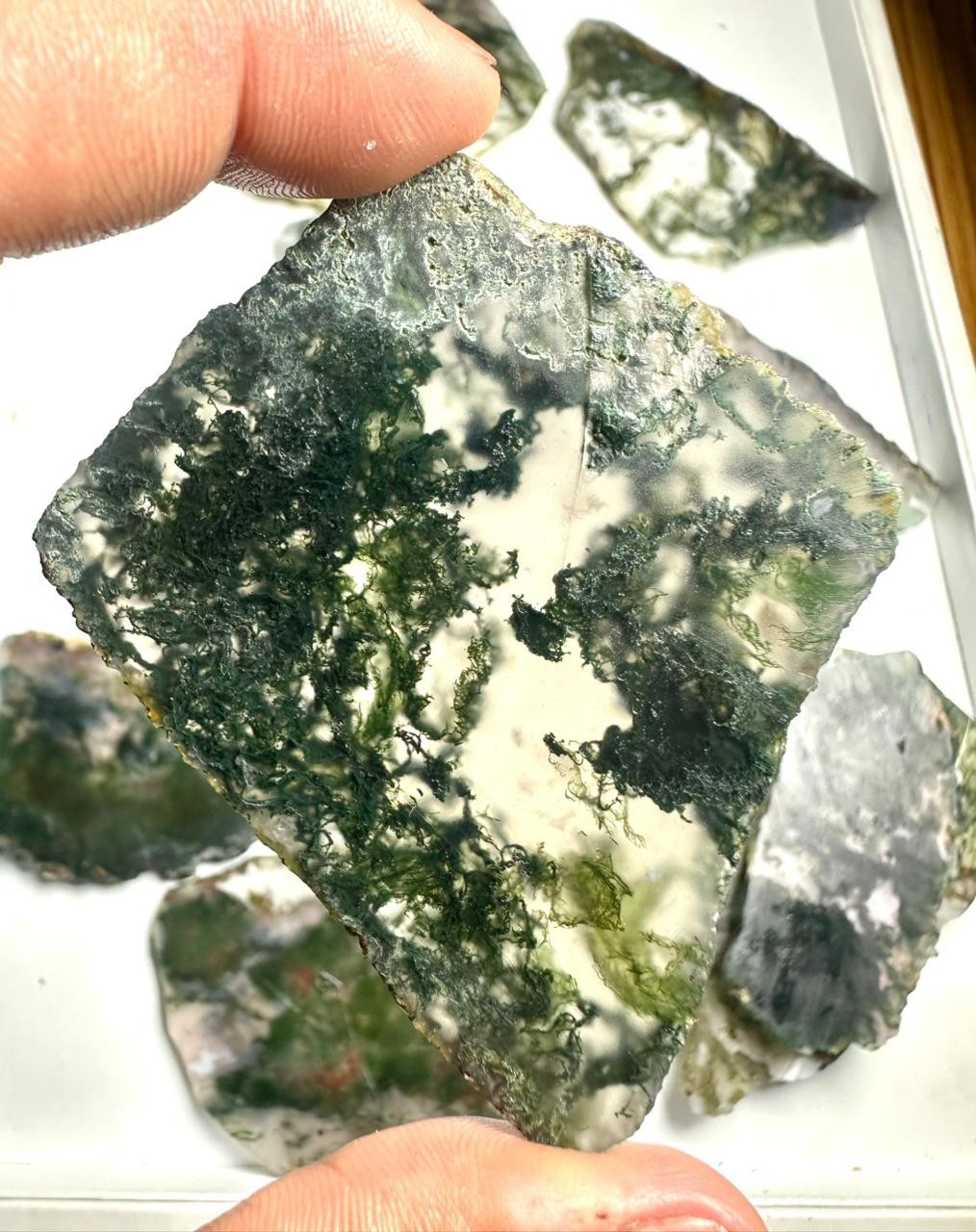 Top Quality Natural Moss Agate Slices: Wholesale Bulk Slabs (2.5-4 Inch)