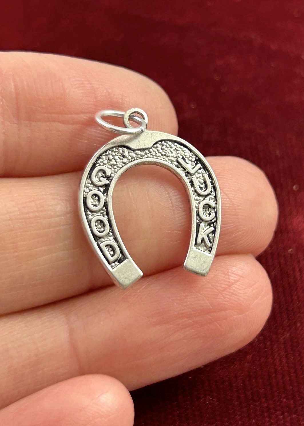 Horseshoe Lucky Charm Good Luck Charm Pendant Antiqued Silver Plated Jewelry