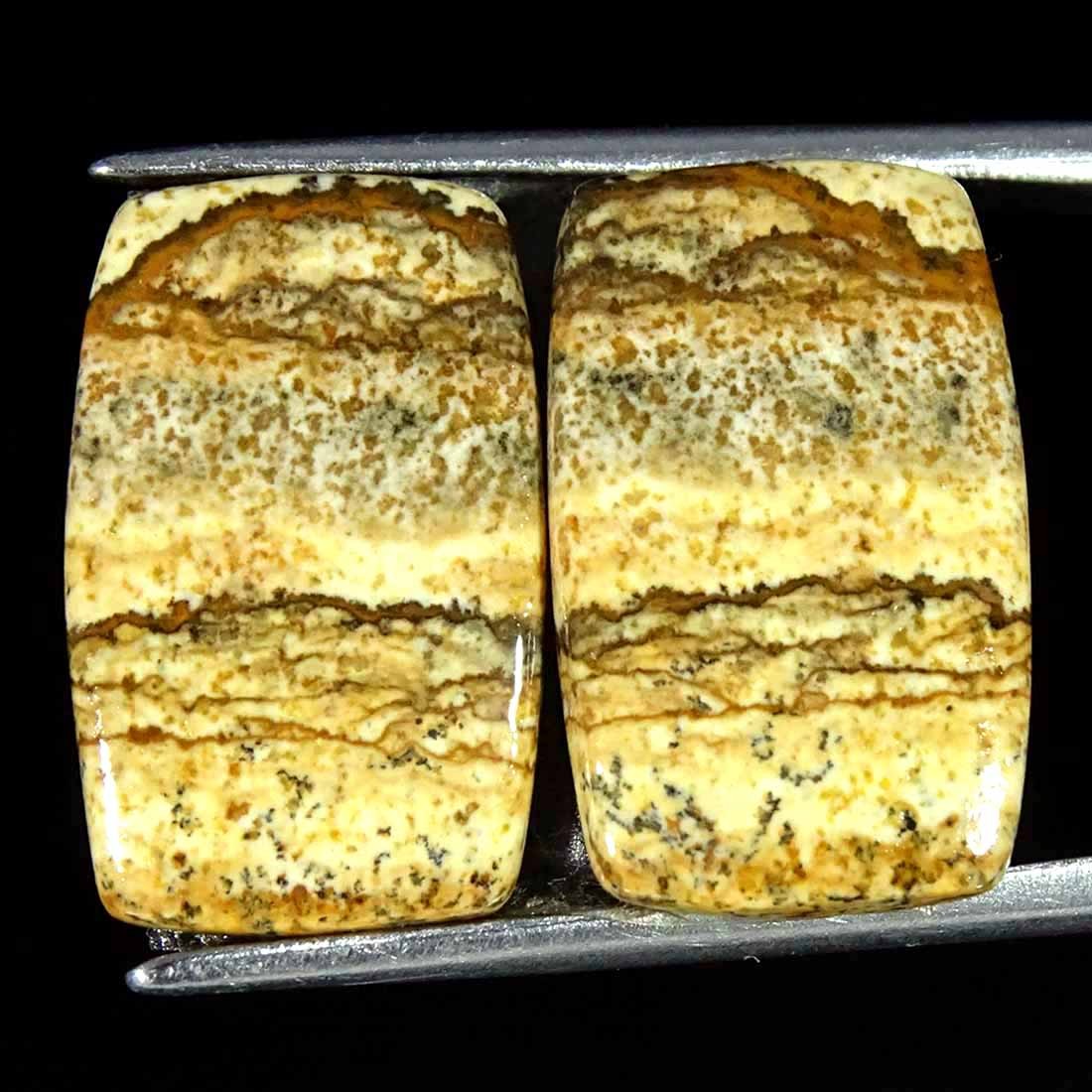 10.80Cts Natural Picture Jasper Cabochon Loose Gemstone Pair 10x16x3mm Cushion