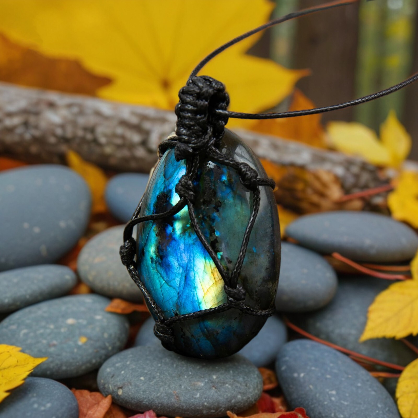 Natural Labradorite Dragon Heart Pendant Healing Amulet Protection Necklace