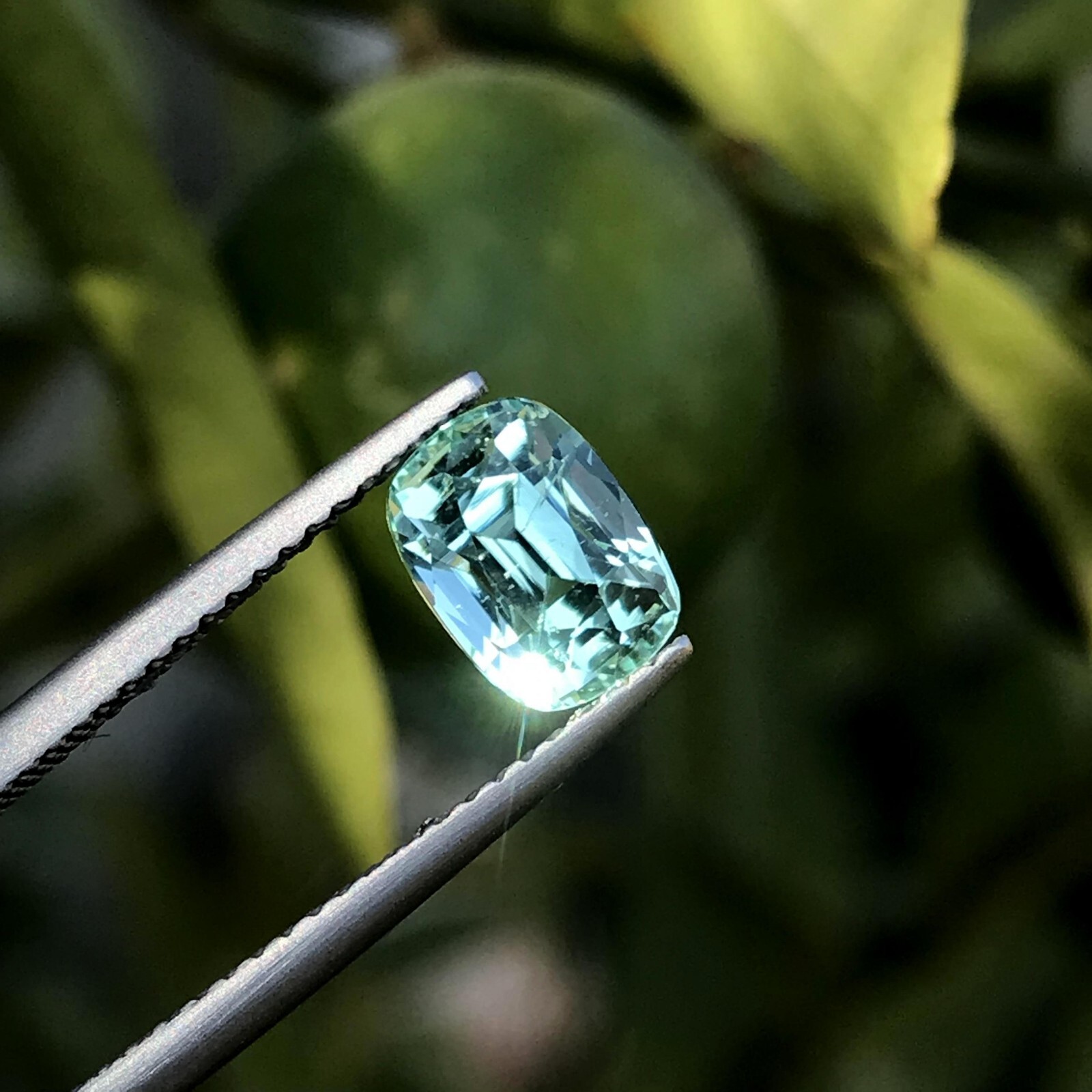 1.7Ct Natural Faceted Seafoam Tourmaline Cushion Cut Loose Gemstone Afghanistan