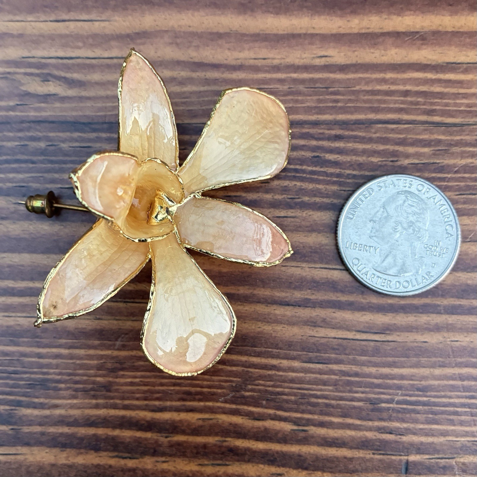 1980’s Vintage Natural Preserved Orchid Brooch Lapel Pin 24k gold plate.