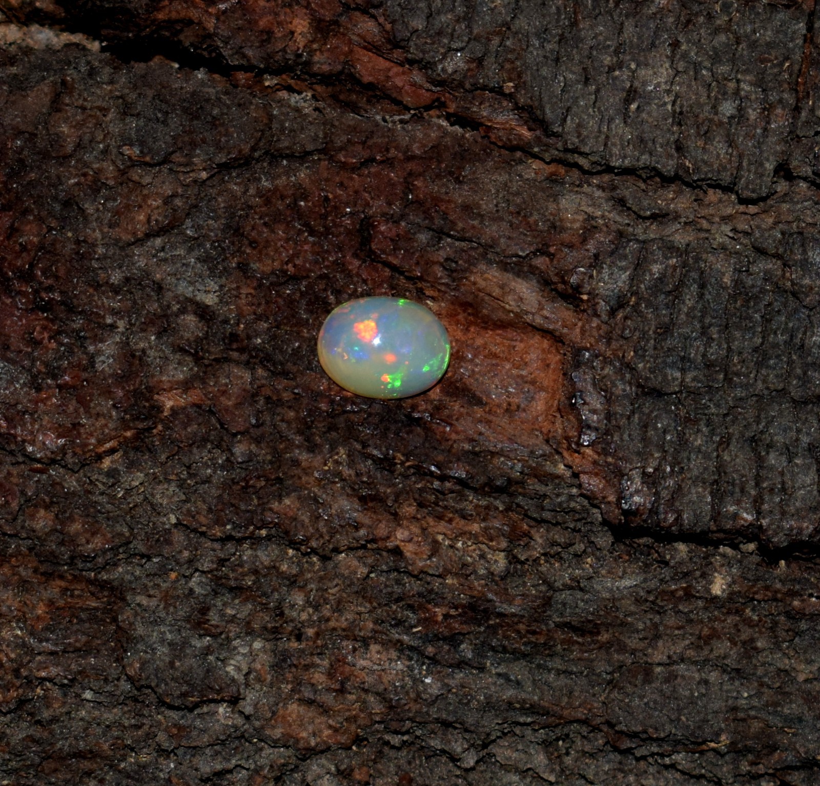AAA Natural Ethiopian Wello Fire Opal Cabochon Loose Gemstone 6X8mm A30