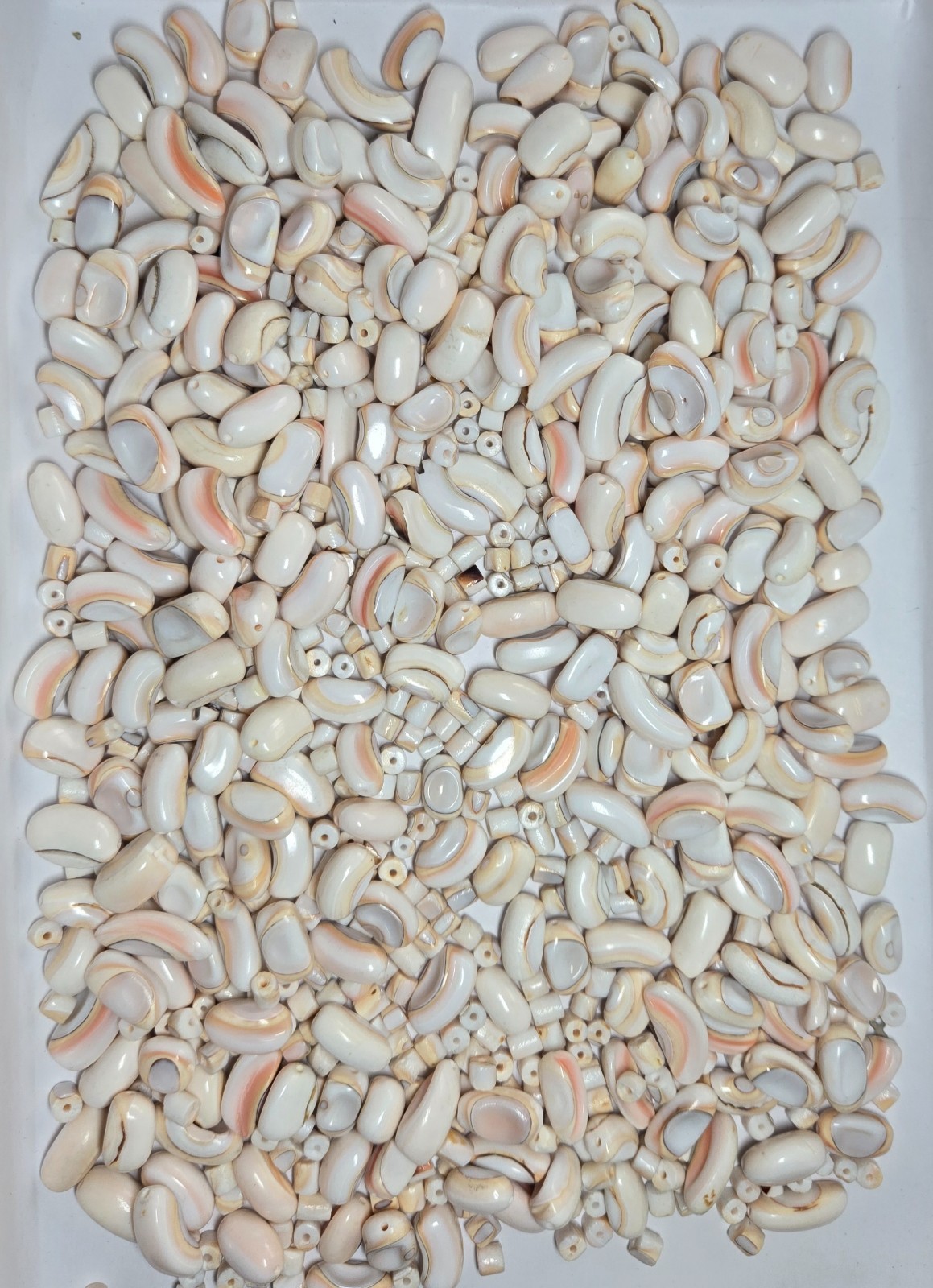 Natural Shell Beads Mix 150pcs White Peach DIY Jewelry Making 5-15mm 1mm Hole