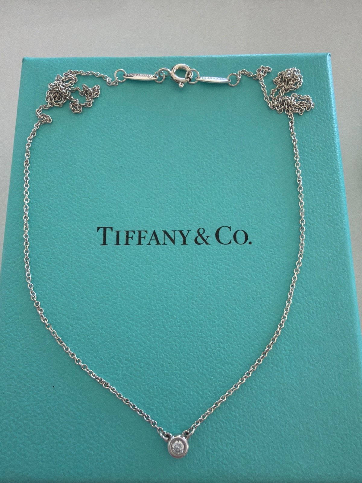 Tiffany & Co Elsa Peretti Diamond by the Yard Necklace .03 Sterling Silver