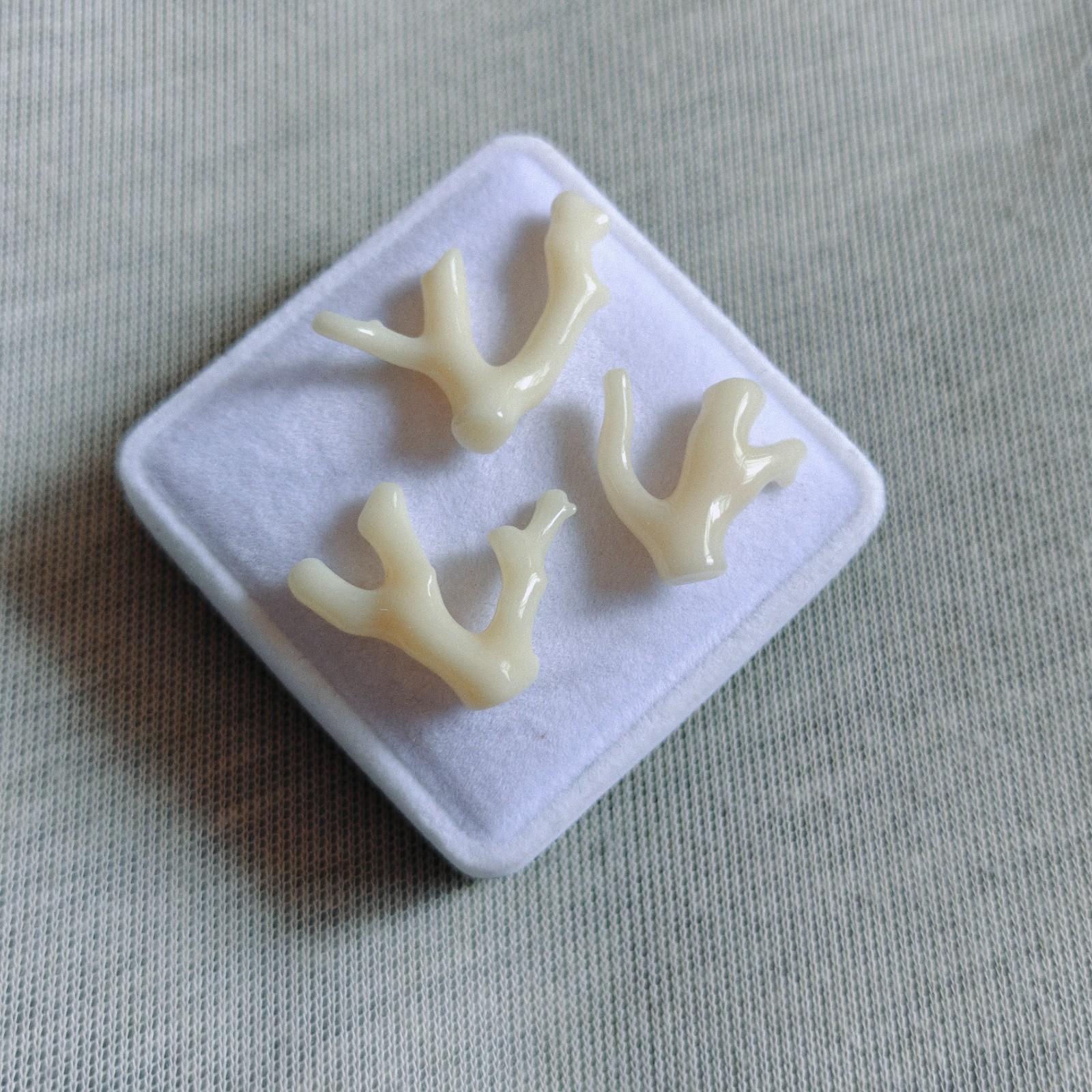 Natural Japanese White Coral Branch Polished Rough Coral Gemstone Specimen