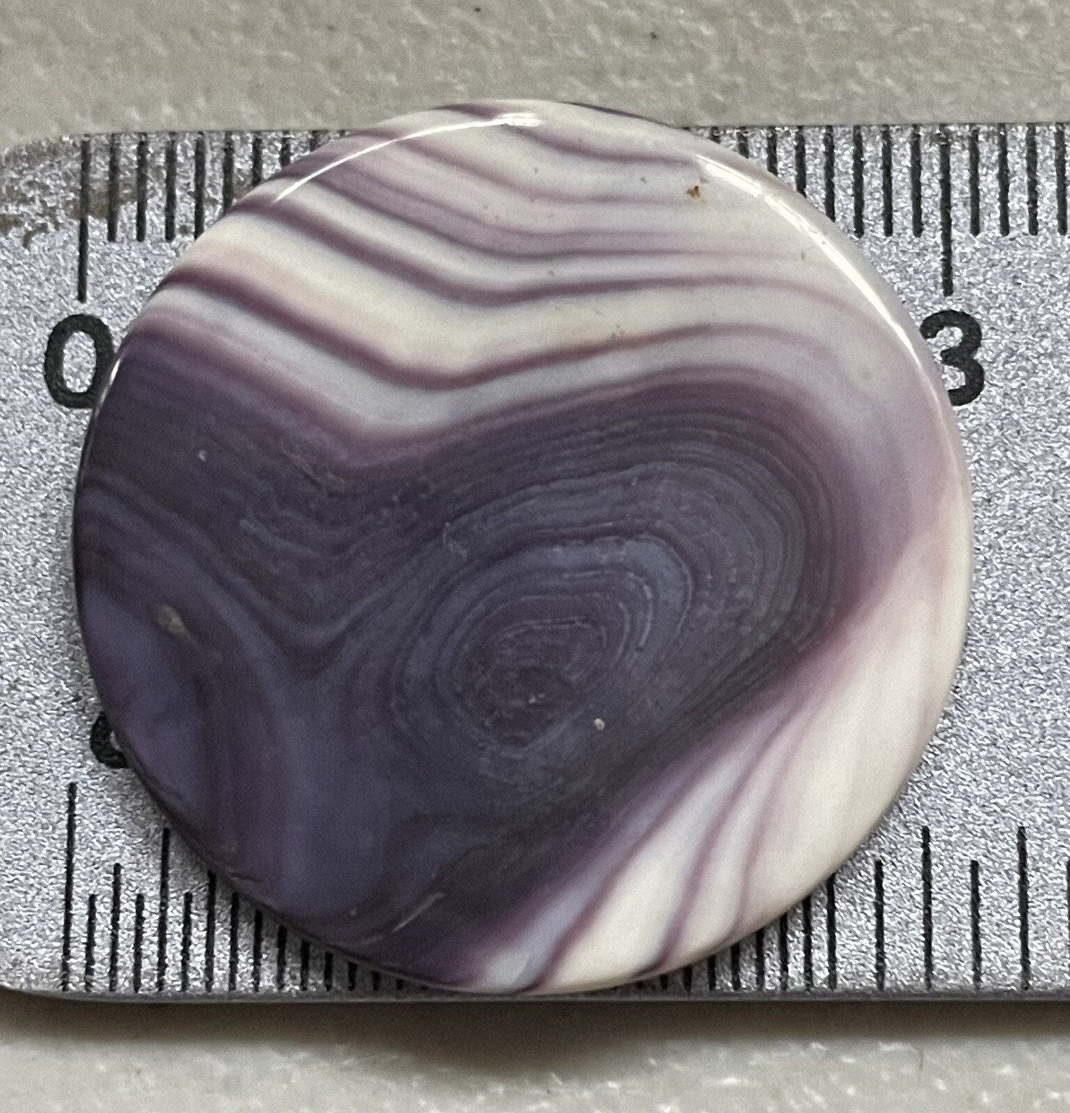 5519 30mm Round Wampum Quahog Cabochon
