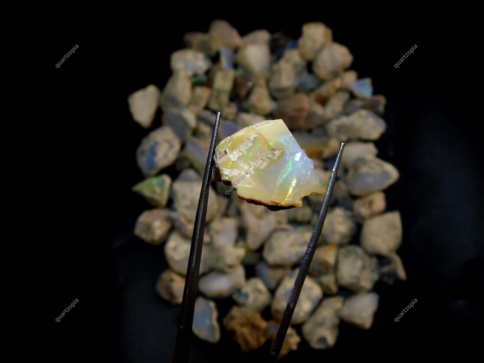 515 Cts Natural Ethopian Fire Opal Certified Rough Lot
