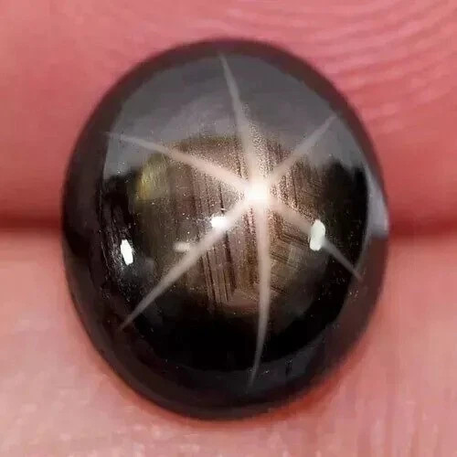 Black Star Sapphire 6 Rays 9.00 Ct+ Oval Cabochon Natural Loose Gemstone